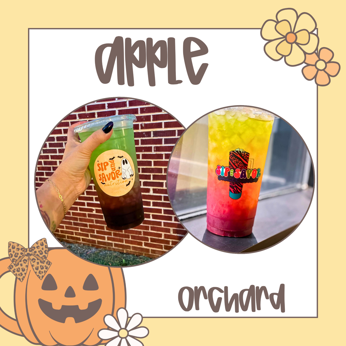 Apple Orchard