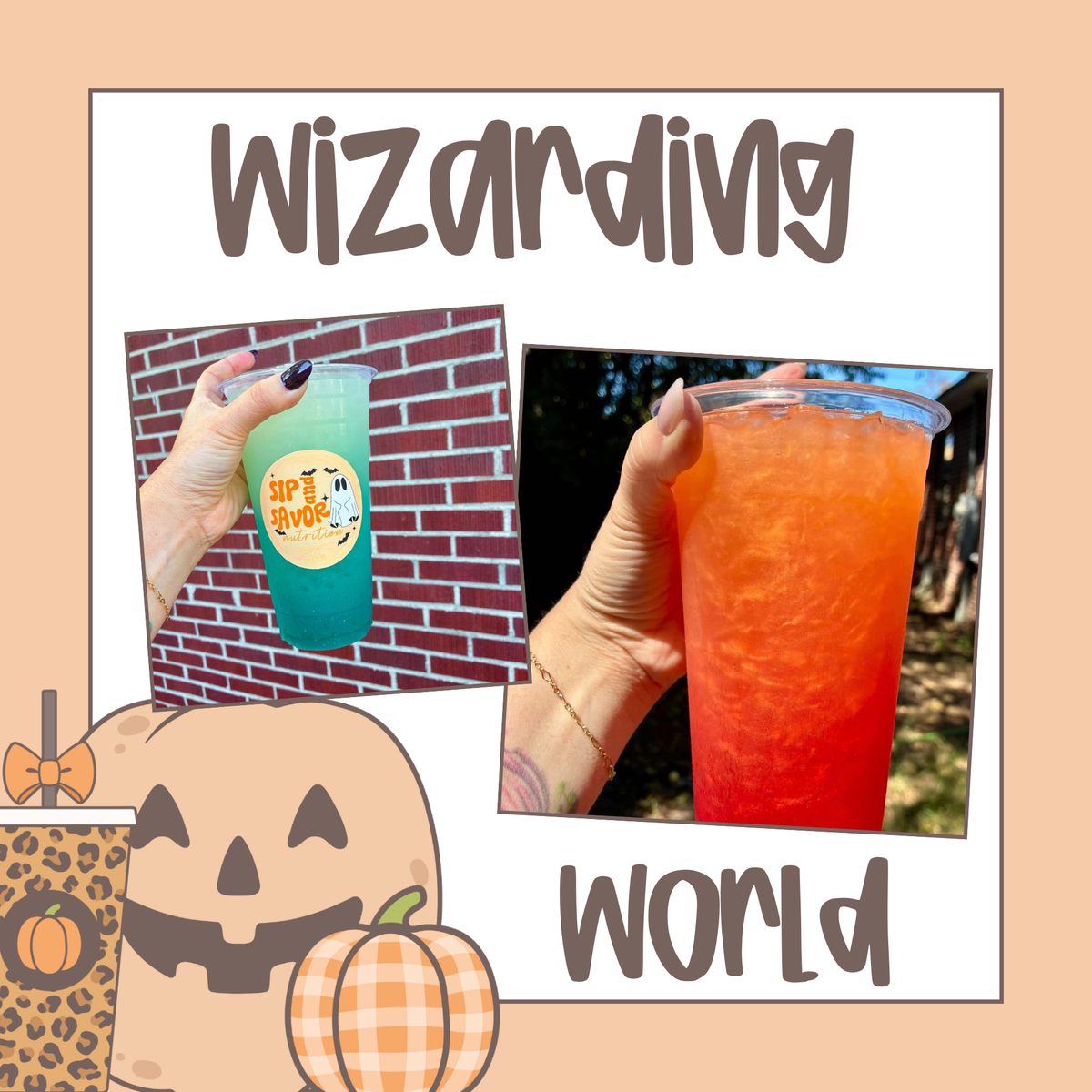Wizarding World
