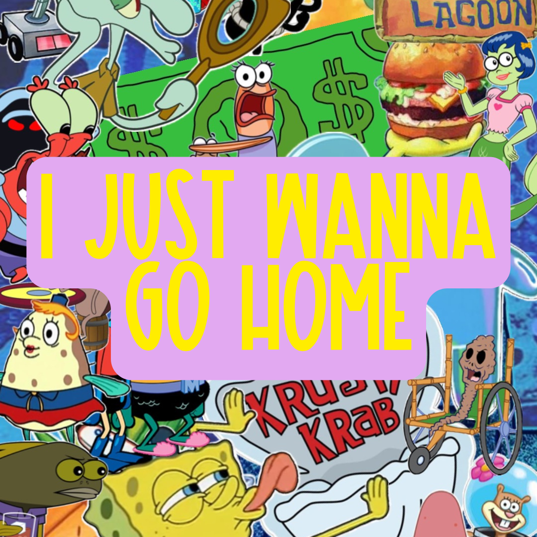 I Just Wanna Go Home