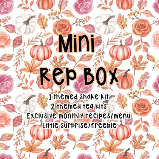 Mini Rep Box